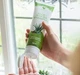 Шампунь FOREVER Shampoo Алое - Жожоба 296 мл - зображення 3