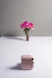 Камера моментальной печати Fujifilm Instax Mini 12 Blossom Pink Нежно-розовая (16806107) - изображение 9