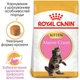 Сухий корм для котят Royal Canin Mainecoon Kitten 10 кг (3182550863681) - зображення 1
