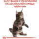 Сухий корм для котят Royal Canin Mainecoon Kitten 10 кг (3182550863681) - зображення 6