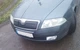 Зимова накладка на решітку (верхня) Матова для Skoda Octavia II A5 2006-2010рр zim042 - изображение 5