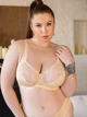 Бюстгальтер с кружевом с мягкой чашкой классический ISSA PLUS BL2-566 85E бежевый (issa2007682328062) - изображение 1