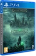 Игра Hogwarts Legacy Deluxe Edition для PS4 (Blu-ray диск) - изображение 2