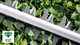 Кусторез Bosch EasyHedgeCut 45, 420 Вт, довжина леза 45 см, 2.6 кг, защитный кожух (0600847A05) - изображение 7