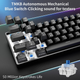 Механическая игровая клавиатура Dierya 60% с механическими переключателями Clicky, Type-C, 61 клавиша (раскладка США, QWERTY) черный - изображение 6