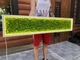 Панно с подсветкой со стабилизированым мхом в рамке MiNature Moss 150*30 см - изображение 1