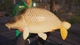 Ключ активации Fishing Sim World®: Pro Tour для Xbox One/Serie - изображение 2