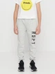Спортивные штаны утепленные Minoti 11JOGGER 4 37281KID 92-98 см Серые (5059030928278) - изображение 1