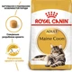 Сухий корм для дорослих котів Royal Canin MAINECOON ADULT породи мейн-кун 10кг - зображення 3