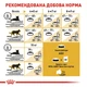 Сухий корм для дорослих котів Royal Canin MAINECOON ADULT породи мейн-кун 10кг - зображення 6