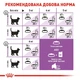 Сухий корм для дорослих котів Royal Canin STERILISED стерилізованих 10кг - изображение 5