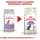 Сухой корм для взрослых стерилизованных кошек ROYAL CANIN STERILISED 10 кг + 2 кг в подарок - изображение 7