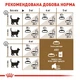 Сухой корм для взрослых стерилизованных кошек ROYAL CANIN STERILISED 12 кг - изображение 6