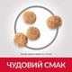 Сухий корм при чутливому шлунку та шкірі Hill’s Science Plan Adult Sensitive Stomach Skin Small & MIni з куркою 1.5 кг - зображення 5