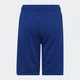 Детские шорты на резинке Adidas HE9334 110-116 см Team Royal Blue (4065424255913) - изображение 6
