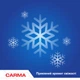 Набір миючих засобів для посуду Carma Свіжість 500 мл х 2 шт (CZ.N.S.502) (2000998939502) - зображення 3