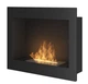 Биокамин Simple Fire Frame 600 - изображение 1