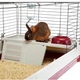 Клетка для кроликов и морских свинок Ferplast Krolik 160 162х60х50 см с удлинительным модулем (57072670) - зображення 7
