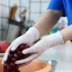 Нитриловые белые перчатки без латекса для кухни и дома Profissimo Einmal-Handschuhe weiss DM Grob L, 60шт=30 пар - изображение 3