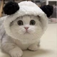 Шапка с ушками для кошек и собак White Pet Size S\M Weight 2-4.5 kg - изображение 5