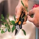 Секатор для цветов Fiskars Solid SP14 1051601 - изображение 4