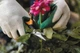 Ножницы садовые Fiskars Solid Softgrip SP15 1051602 - изображение 7