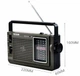 Радиоприемник Tecsun R-304P - изображение 1