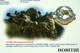 Альбом для монет 'Збройні сили ЗСУ' с монетами ,уточнение в описании - изображение 5