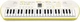 Синтезатор Casio SA-80 (SA-80) - зображення 2