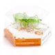 Интерактивная игрушка Hexbug Нано-робот Micro Ant, зеленый (409-6389 green) - изображение 4