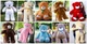 Великий Плюшевий ведмідь 200 см білий, Ведмедики 2 метри, подарунок для дівчини на день народження HappyDays - зображення 4