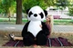 Мягкая игрушка на 8 марта Плюшевая Панда 200 см Черный Подарок девушке HappyDays - изображение 1