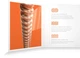 Струны для акустических гитар D'Addario XSAPB1047 XS Acoustic Phosphor Bronze Extra Light (10-47) - изображение 4