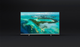Telewizor Philips 43PUS7657/12 - obraz 10