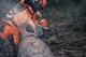 Цепная пила Husqvarna 592XP (9704931-44) - изображение 2
