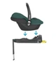 Автокресло Maxi-Cosi CabrioFix i-Size Essential Green (8558047110) - изображение 5