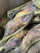 Ласощі для собак Canikul Нога яловича 1 шт - зображення 6