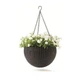 Горшок для растений Keter Rattan Hanging Sphere с цепочкой Коричневий (7290106924567) - изображение 2
