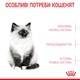 Вологий корм для котят pouch Royal Canin Kitten Instinctive Gravy pouch 85 г, 9+3 шт - свійський птах - зображення 3