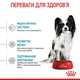 Вологий корм для цуценят Royal Canin X-Small Puppy 9+3 шт х 85 г - изображение 4
