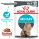 Вологий корм для котів, для підтримки сечовивідної системи Royal Canin Urinary Care Gravy 85г 9+3 шт. - зображення 2