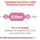 Сухий корм для кошенят Royal Canin Kitten 10 кг - изображение 4