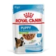 Вологий корм для цуценят Royal Canin X-Small Puppy 9+3 шт х 85 г - изображение 2