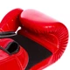 Перчатки боксерские кожаные FAIRTEX (размер 18oz, красный) (BGV1_Красный_18_унции) - изображение 4