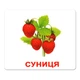 Набор больших ламинированных карточек Домана Ягоды на украинском 20 шт Вундеркинд с Пеленок (2100064094217) - изображение 10