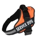 Шлея для собак усиленая Pet Style "Service Dog" Оранжевая L - изображение 1