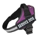 Шлея для собак посилена Pet Style "Service Dog" Фіолетова XS - зображення 1