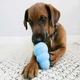 Игрушка-конг Kong Puppy для щенков M - изображение 4