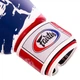 Перчатки боксерские кожаные FAIRTEX THAI PRINT (размер 14oz, белый-синий-красный) (BGV1-THAI_14_унции) - изображение 3