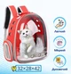Прозрачный рюкзак для переноски животных Pet Cat для кошек и собак Red - изображение 2